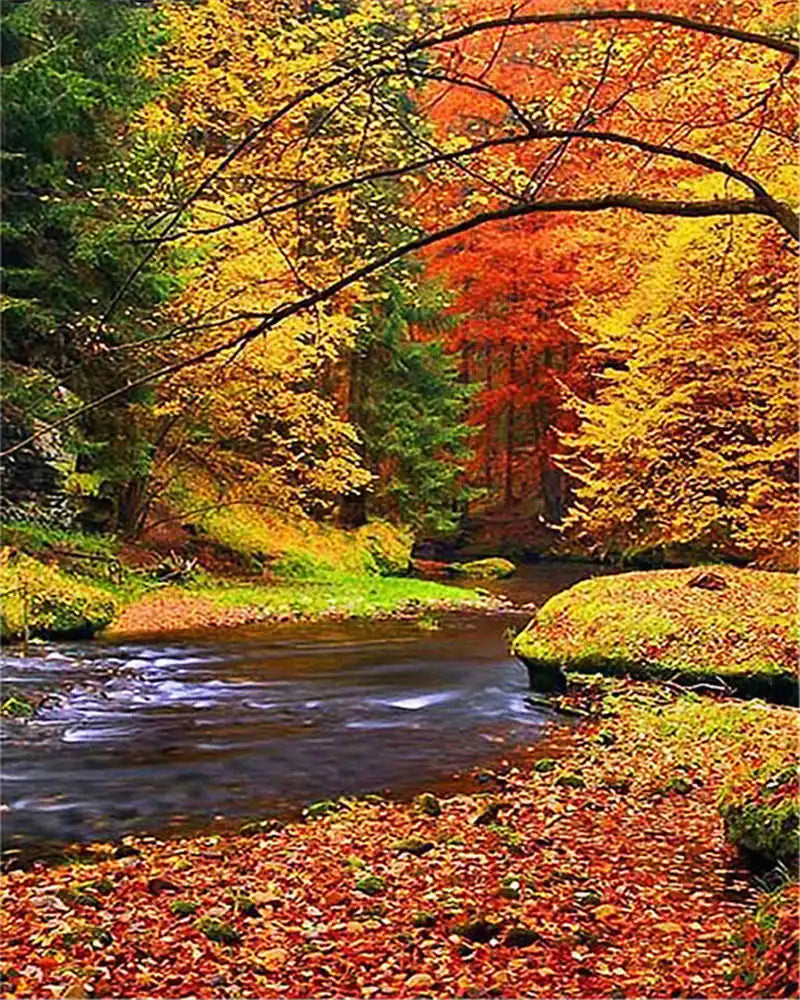 Paint by Number Tree Scene – Handpainted Autumn Landscape on Canvas, DIY Art Kit