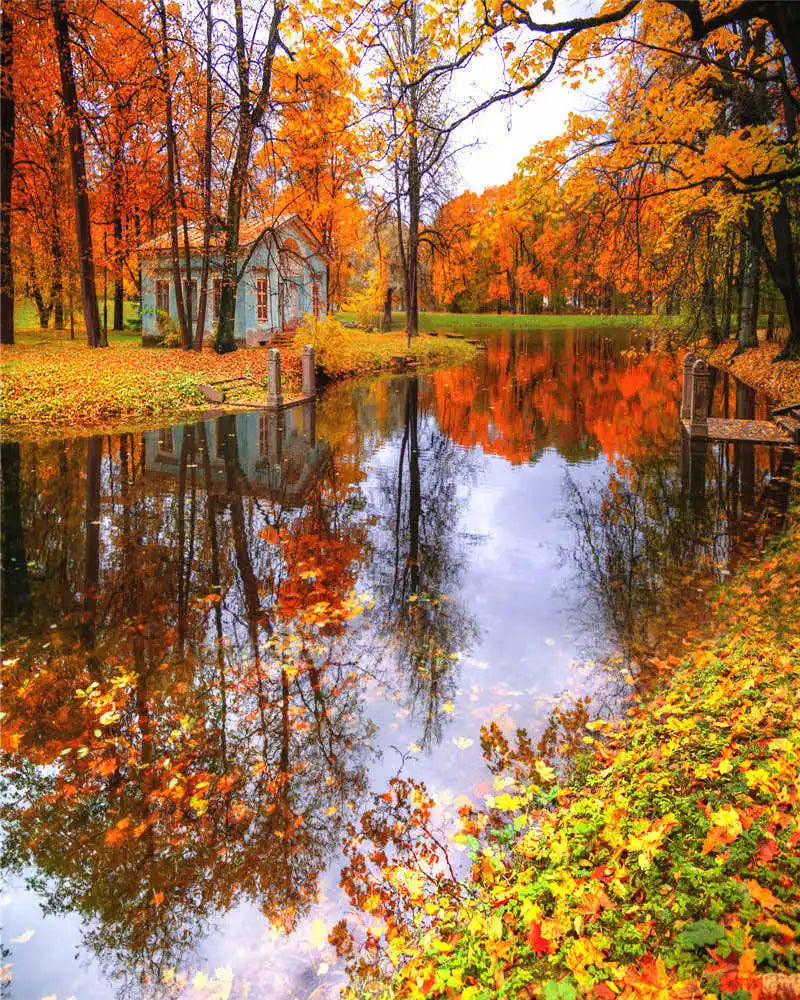 Paint by Number Tree Scene – Handpainted Autumn Landscape on Canvas, DIY Art Kit