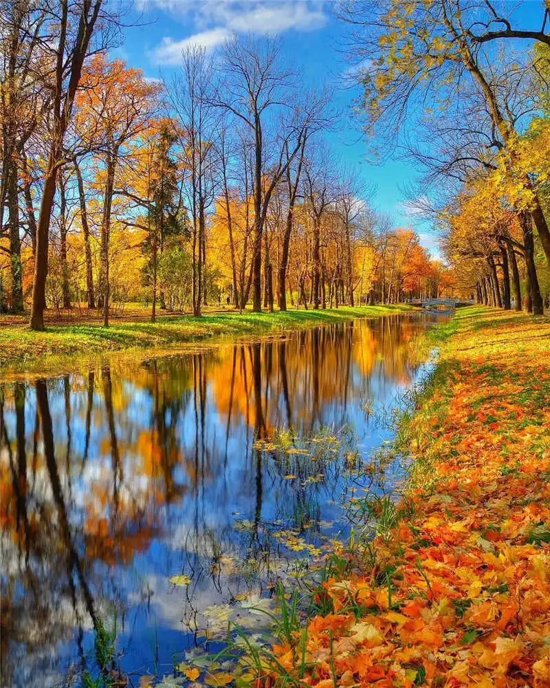 Paint by Number Tree Scene – Handpainted Autumn Landscape on Canvas, DIY Art Kit