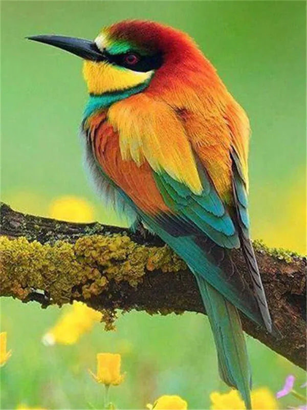 5D Full Square Diamond Painting Bird Picture Of Rhinestone Diamond Embroidery Animal Mosaic Needlework Decor For Home