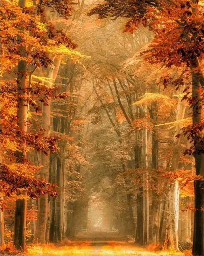 Paint by Number Tree Scene – Handpainted Autumn Landscape on Canvas, DIY Art Kit