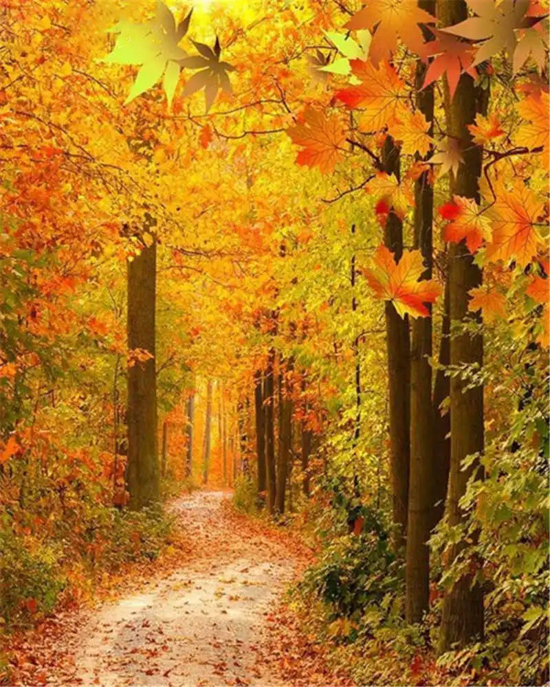 Paint by Number Tree Scene – Handpainted Autumn Landscape on Canvas, DIY Art Kit