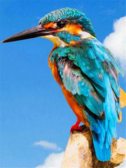 5D Full Square Diamond Painting Bird Picture Of Rhinestone Diamond Embroidery Animal Mosaic Needlework Decor For Home
