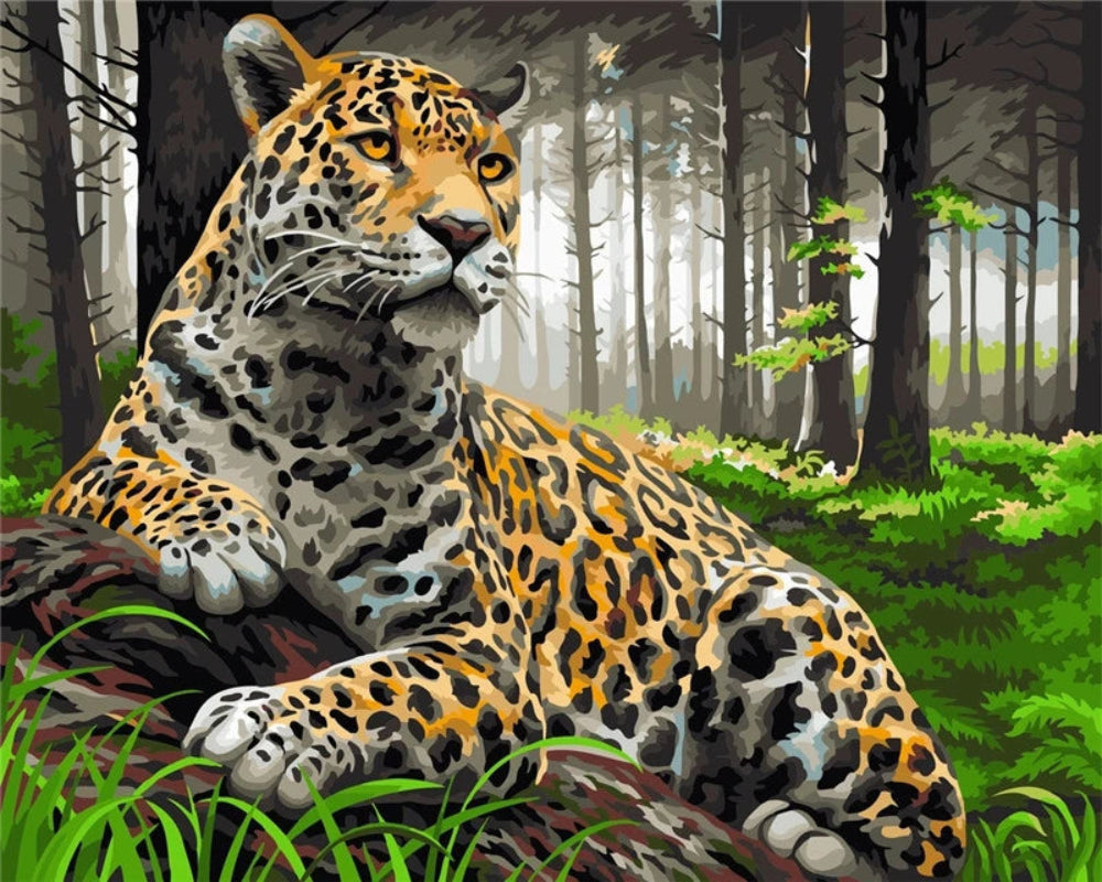 Leopard Animal Drawing On Canvas – DIY Painting by Numbers, Home Decoration