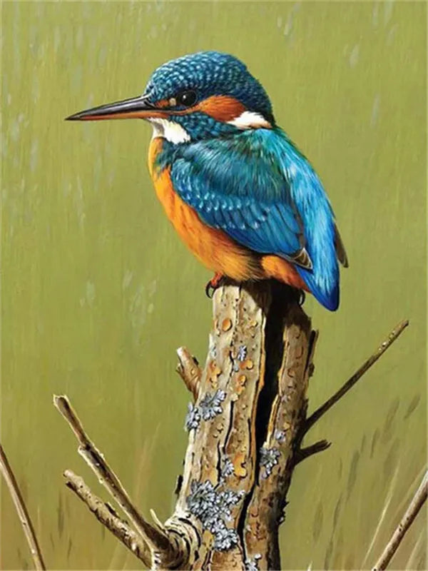 5D Full Square Diamond Painting Bird Picture Of Rhinestone Diamond Embroidery Animal Mosaic Needlework Decor For Home