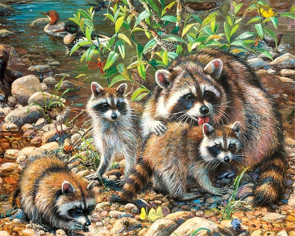 Raccoon Animal Painting by Numbers – DIY Acrylic Canvas Kit with Frame, Home Wall Art