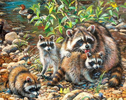 Raccoon Animal Painting by Numbers – DIY Acrylic Canvas Kit with Frame, Home Wall Art