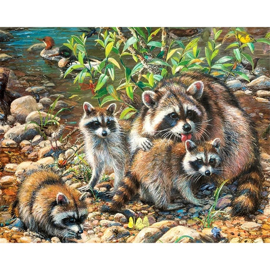 Raccoon Animal Painting by Numbers – DIY Acrylic Canvas Kit with Frame, Home Wall Art